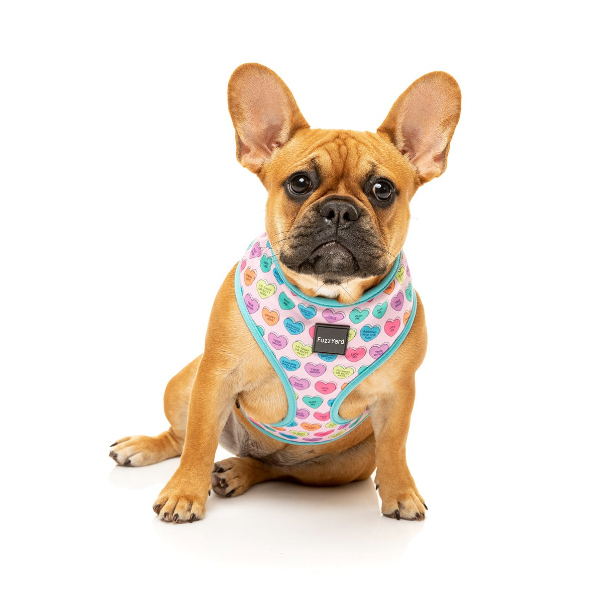 FuzzYard Candy Hearts Dog Harness