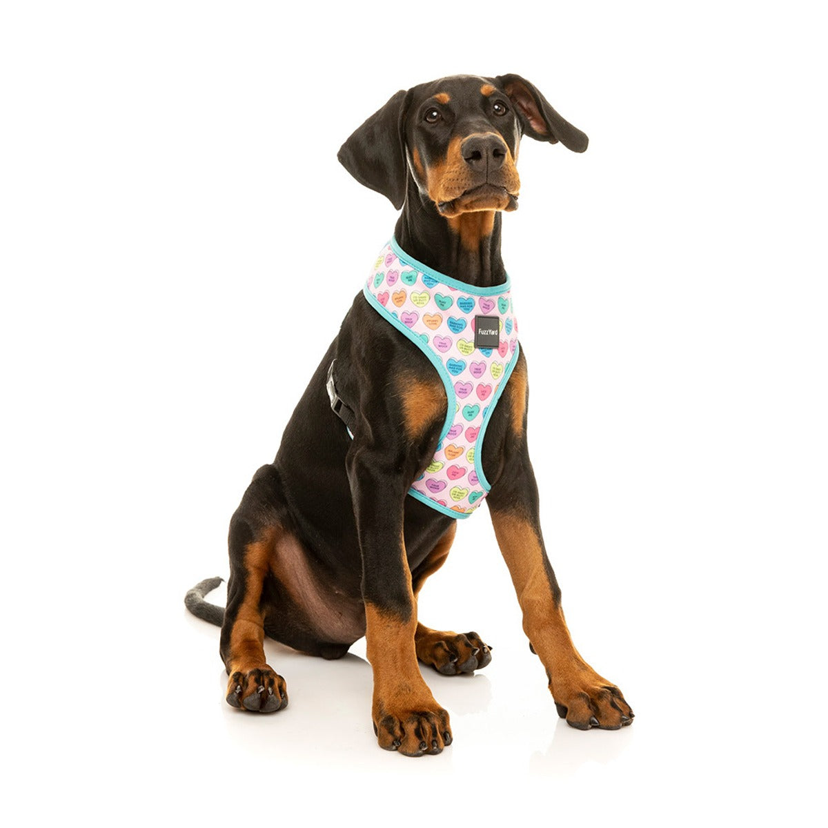 FuzzYard Candy Hearts Dog Harness