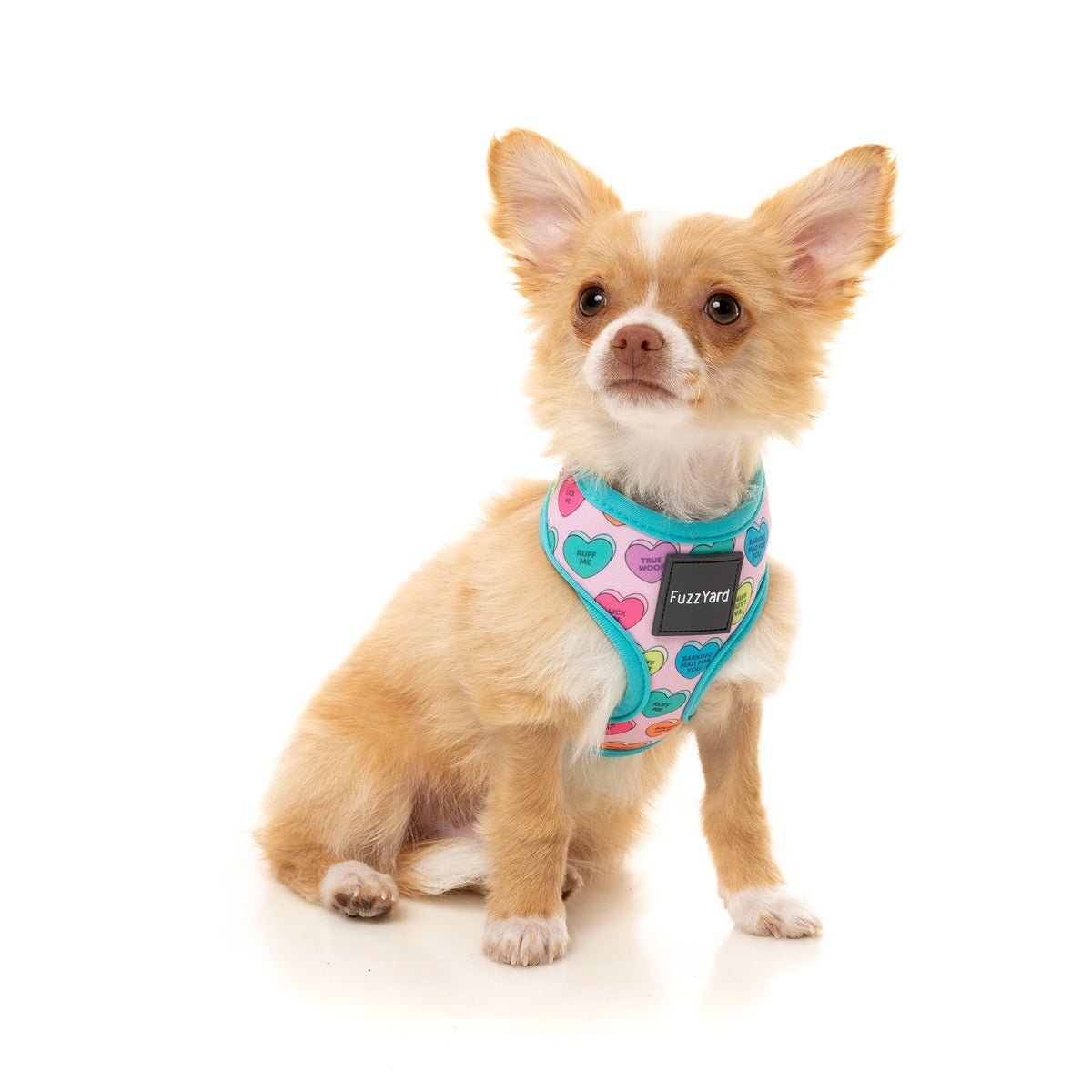 FuzzYard Candy Hearts Dog Harness