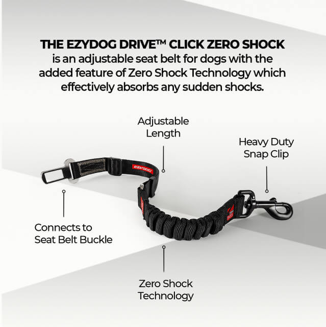 EzyDog Click Zero Shock Car Restraint