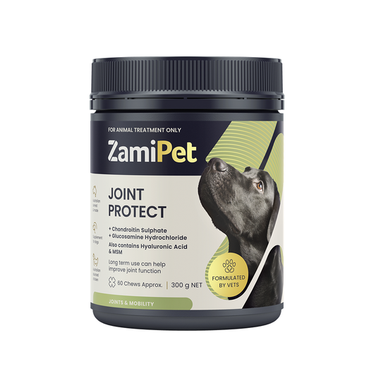 ZamiPet Joint Protect Supplement for Dogs