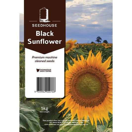 Seedhouse Black Sunflower Bird Seed