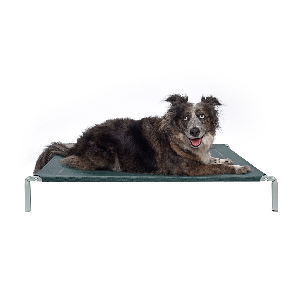 Petstock Flea Free Raised Dog Bed Small