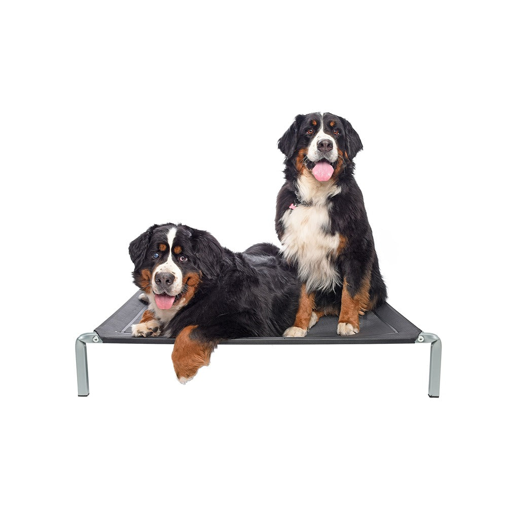 Petstock Flea Free Raised Dog Bed Small