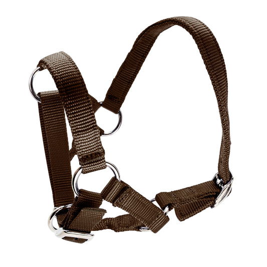 Bainbridge Halter For Alpacas