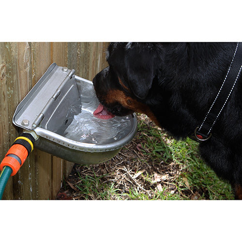 Bainbridge Stainless Steel Automatic Drinking Dog Bowl