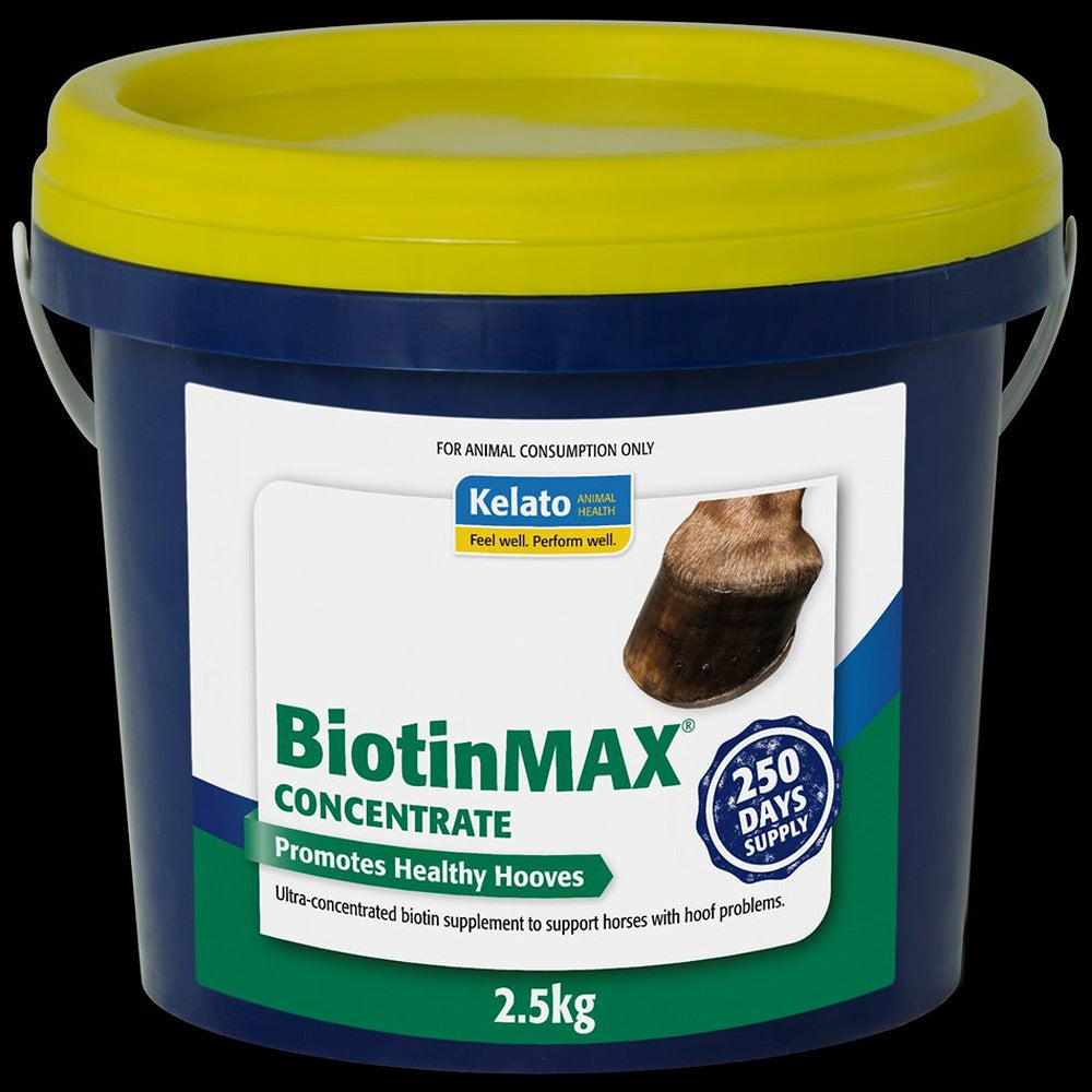 Kelato Biotinmax Concentrate