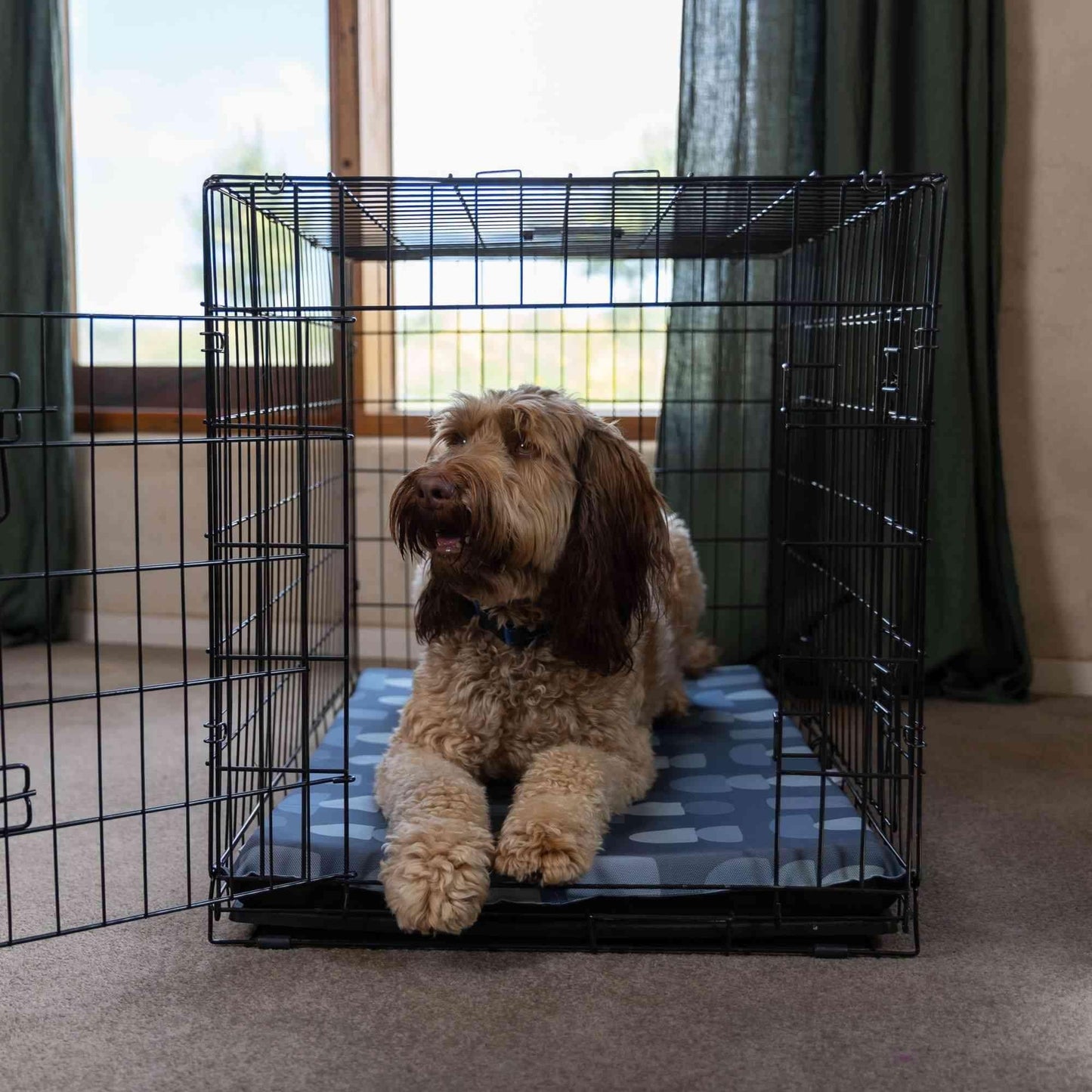 Lexi & Me Kennel/Crate Mat Steel Blue Geo