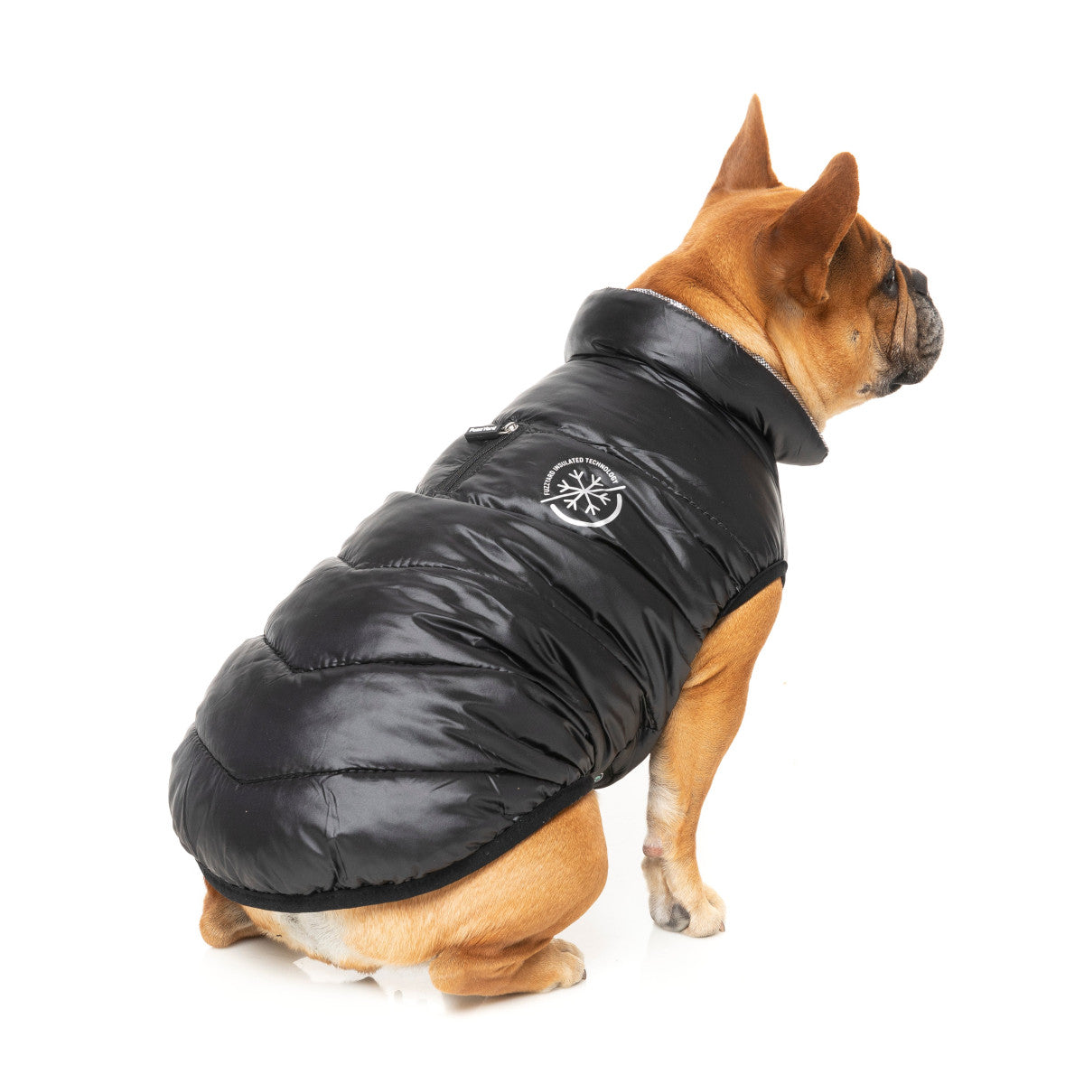 FuzzYard Hakuba Dog Jacket Black