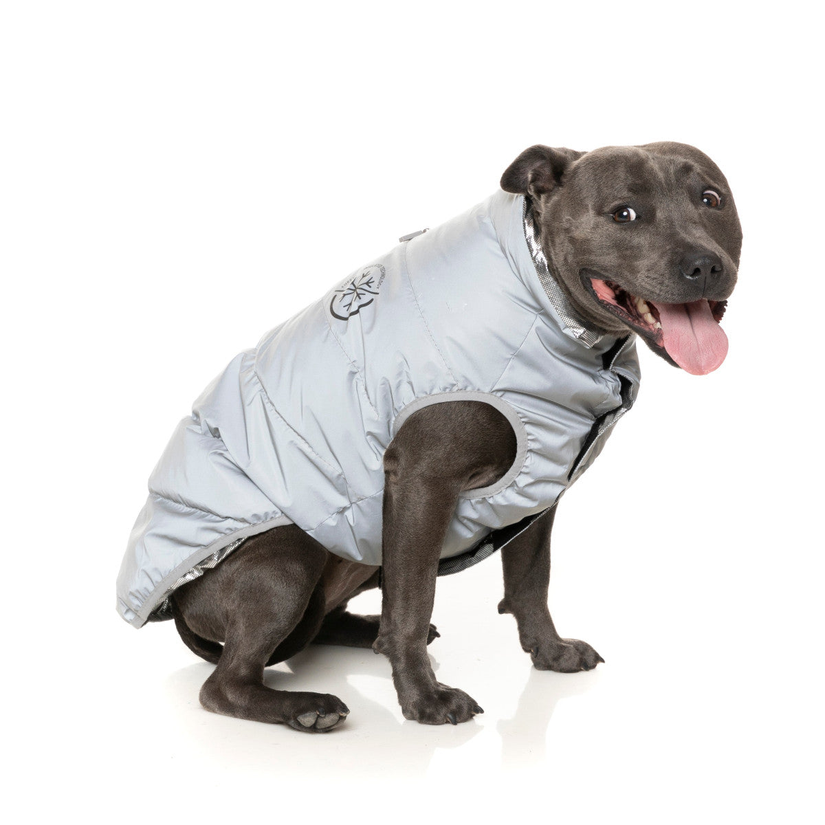 FuzzYard Hakuba Dog Jacket Reflective