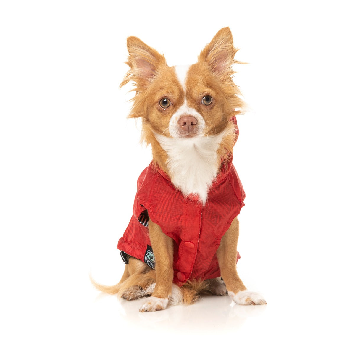 FuzzYard Flipside Dog Raincoat