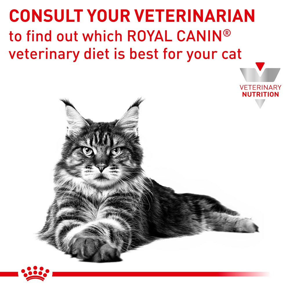 ROYAL CANIN VETERINARY DIET Gastrointestinal Hairball Adult Dry Cat Food