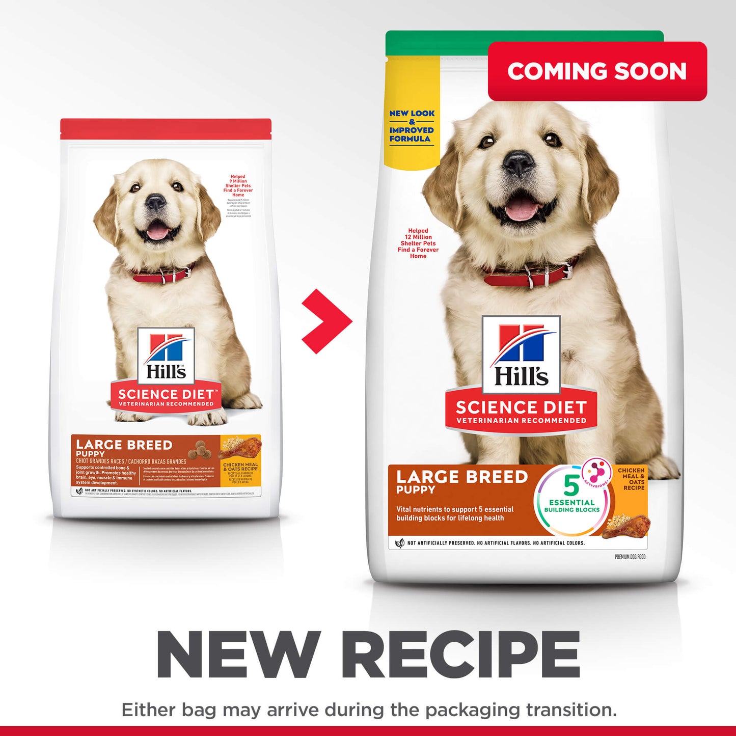 Hill's Science Diet Large Breed Puppy Chicken Dry Dog Food