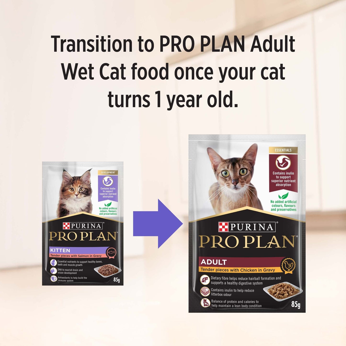 Pro Plan Kitten Salmon Gravy Pouch Wet Cat Food 85g