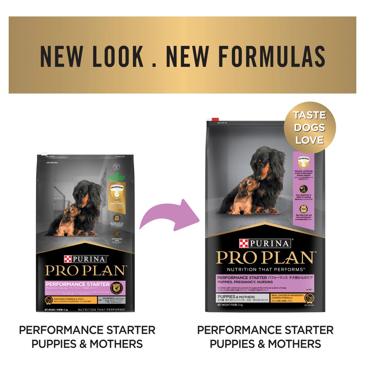 Pro Plan Performance Starter All Size Puppies & Mothers Chicken Formula Dry Dog Food