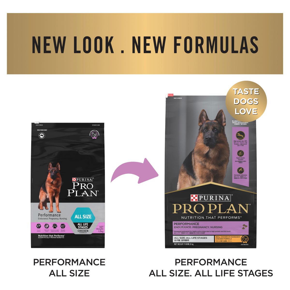 Pro Plan Performance All Size Chicken Dry Dog Food 20kg