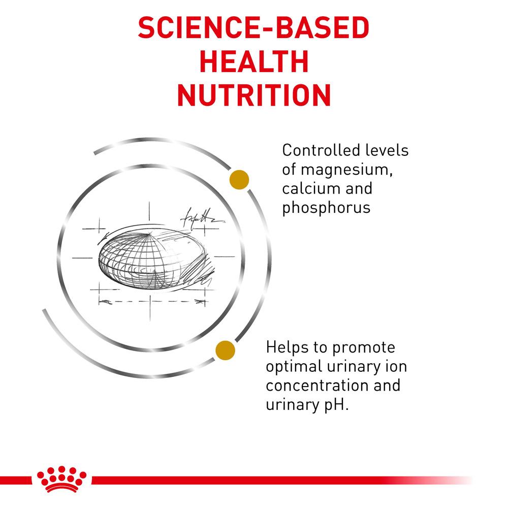 Royal Canin VET Urinary S/O Dry Cat Food