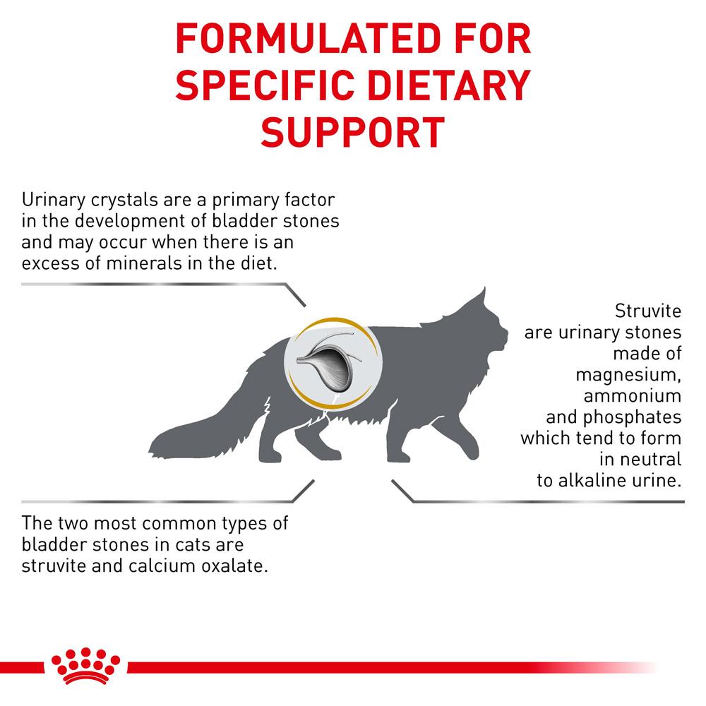 Royal Canin VET Urinary S/O Dry Cat Food