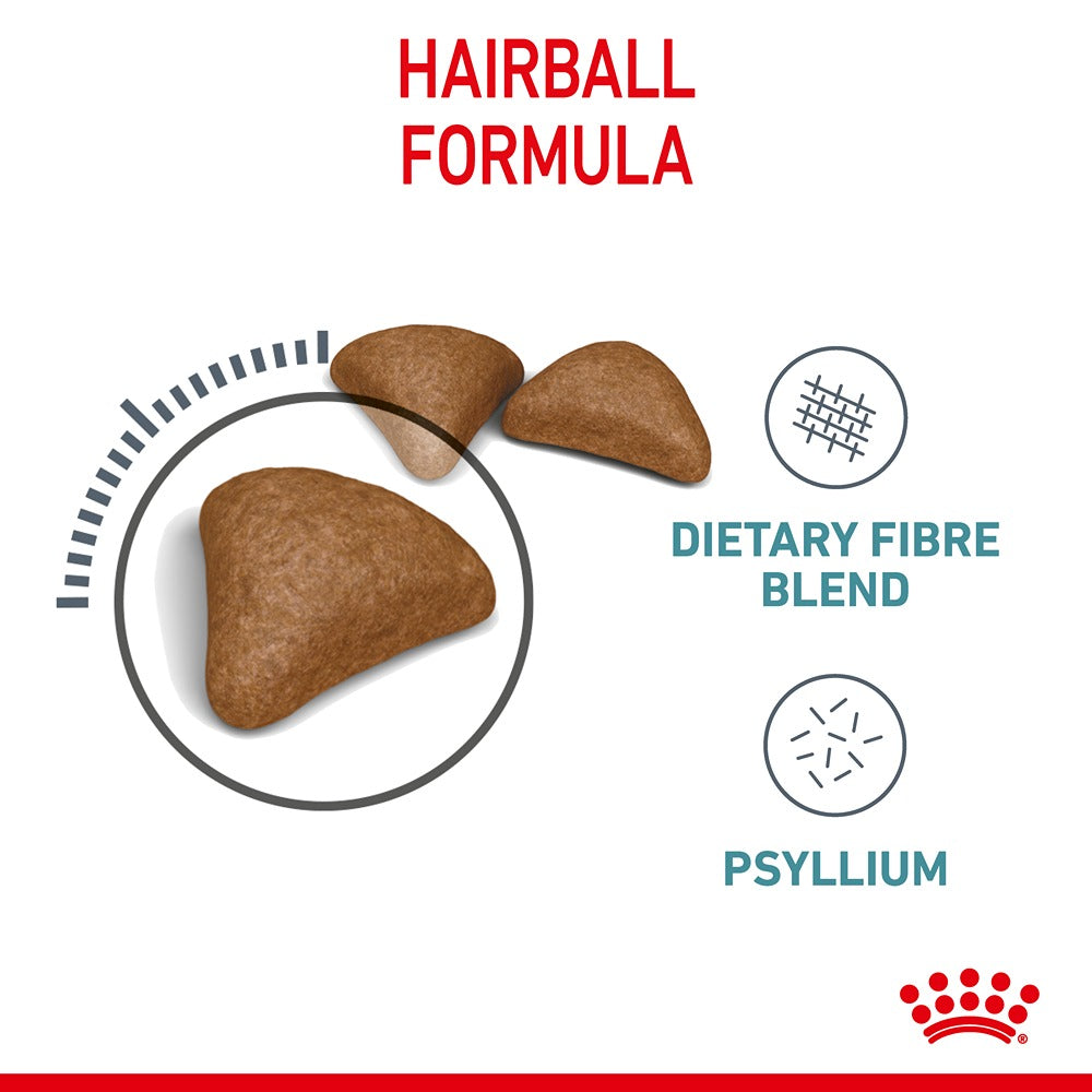 Royal Canin Hairball Care Adult Dry Cat Food