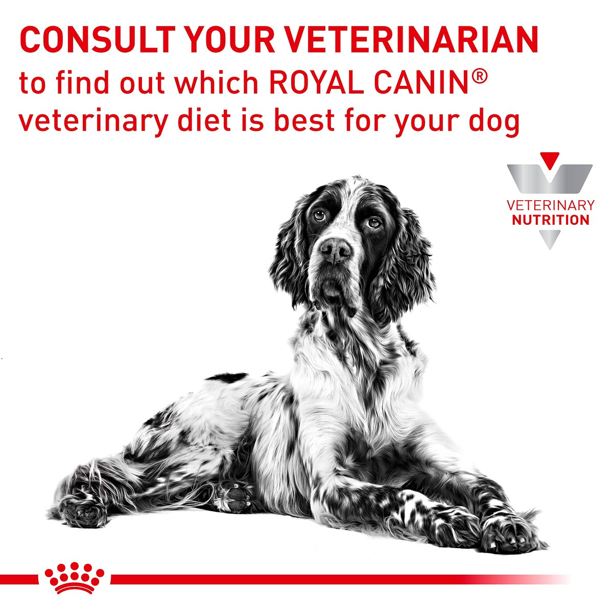 Royal Canin VET Hypoallergenic Dry Dog Food