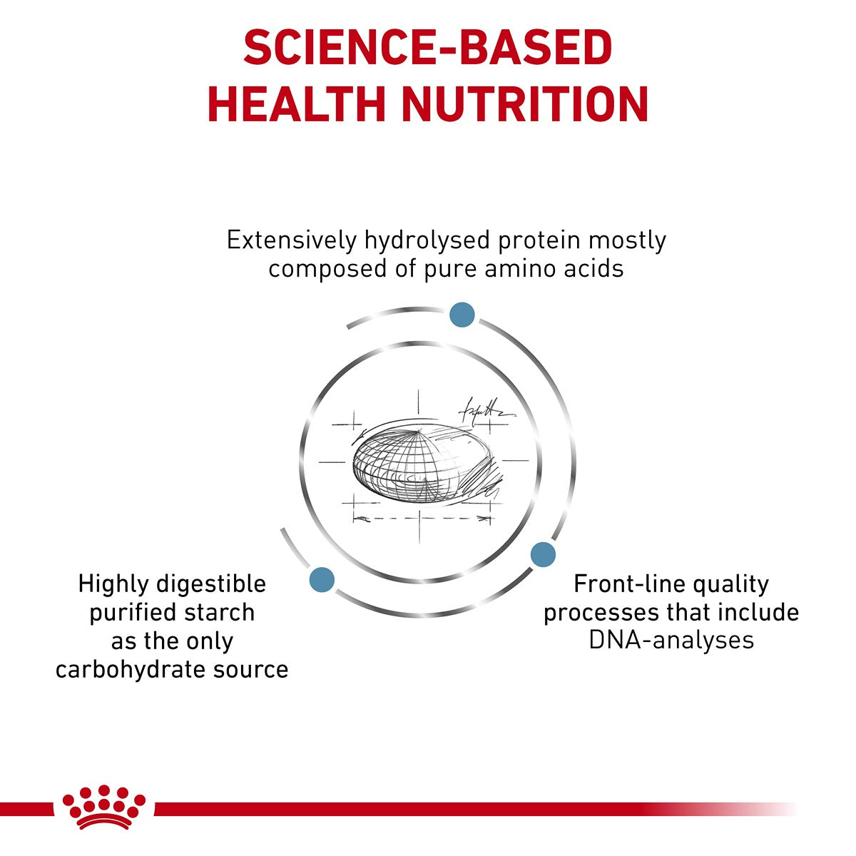 Royal Canin VET Anallergenic Dry Cat Food