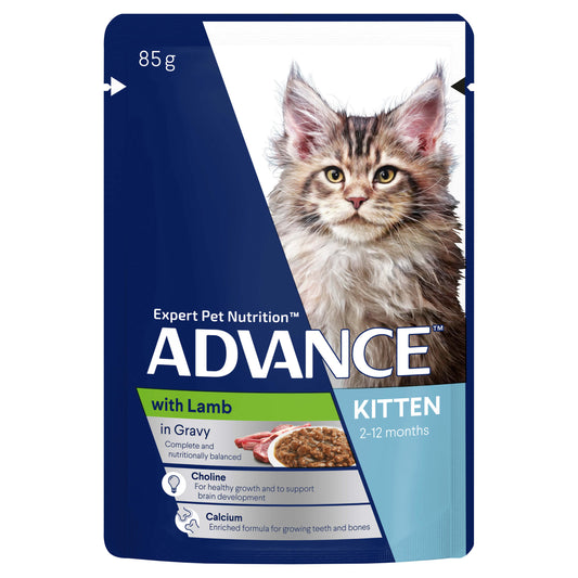 Advance Kitten Lamb in Gravy Wet Cat Food