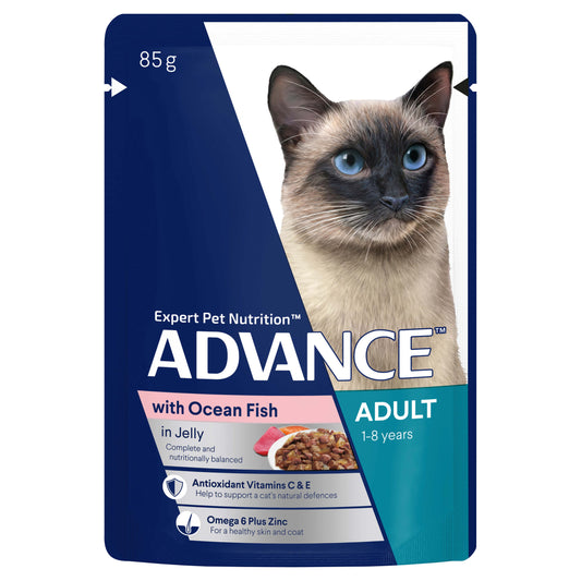 Advance Adult Wet Cat Food with Ocean Fish in Jelly