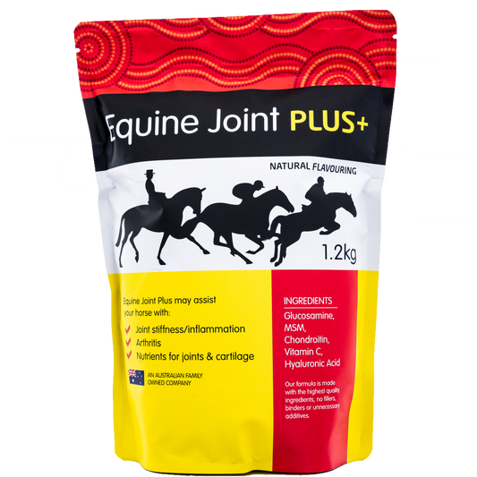 Equine Joint Plus Horse Supplement