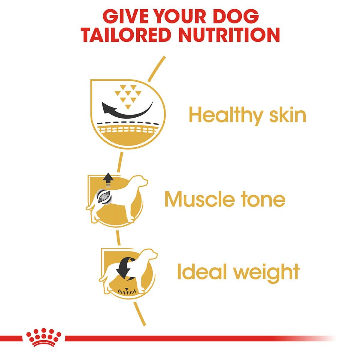 Royal Canin Pug Adult Dry Dog Food (100000003569) [default_color]