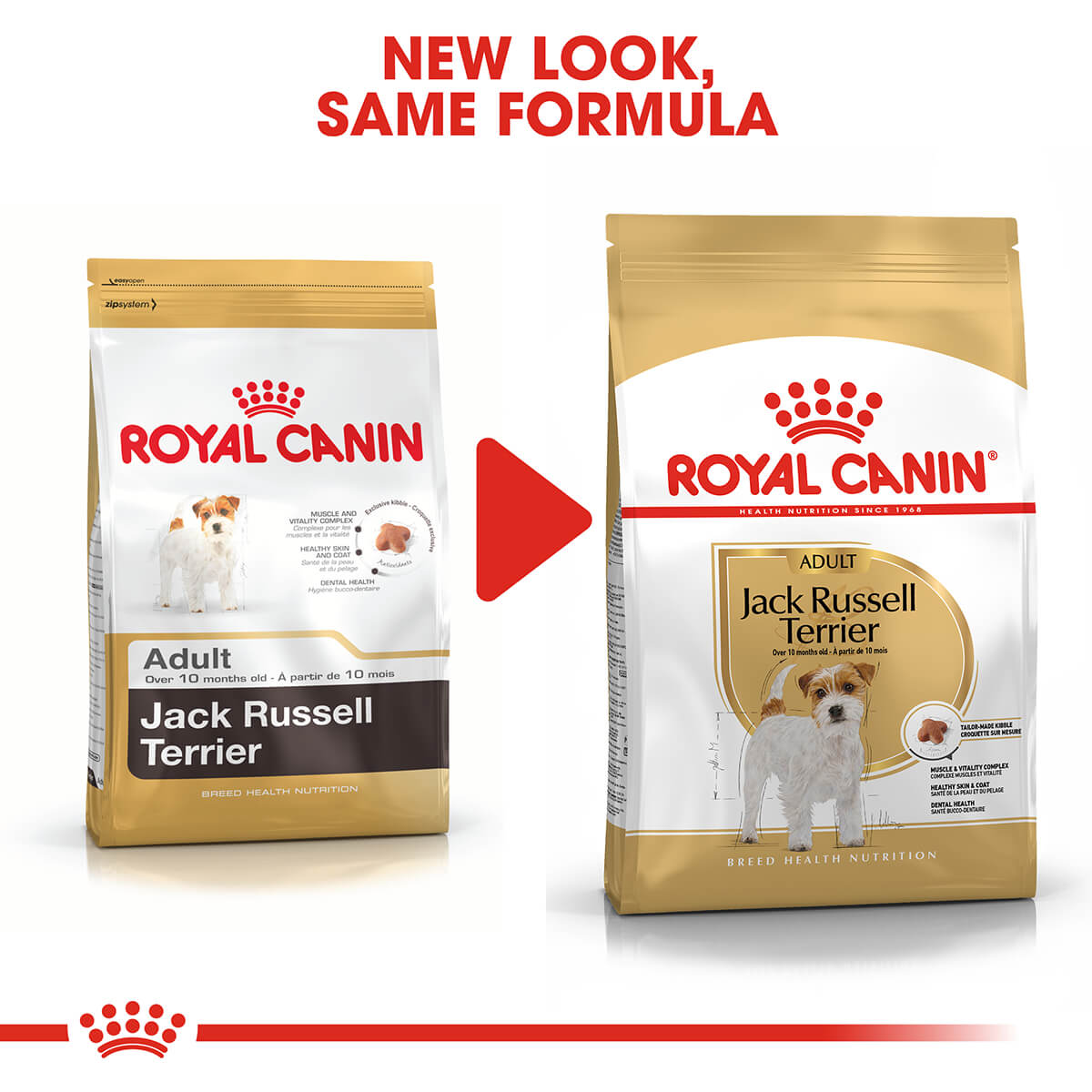 Royal Canin Jack Russell Adult Dry Dog Food (100000003570) [default_color]