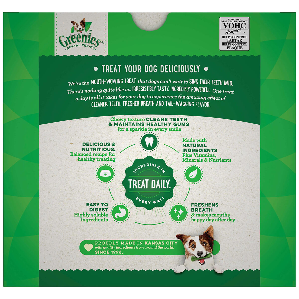 Greenies Original Regular Dental Dog Treats 1kg (100000005420) [default_color]