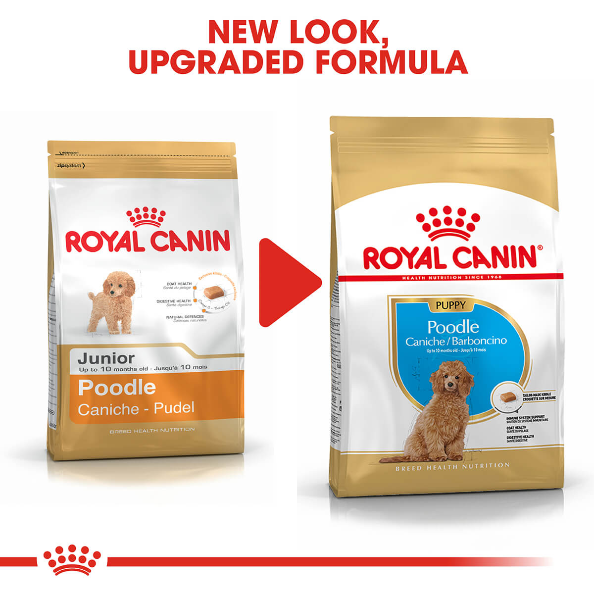 Royal Canin Poodle Puppy Dry Dog Food 3kg (100000005443) [default_color]