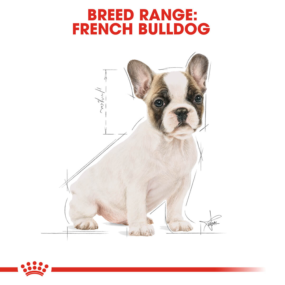 Royal Canin French Bulldog Puppy Dry Dog Food 3kg (100000005444) [default_color]