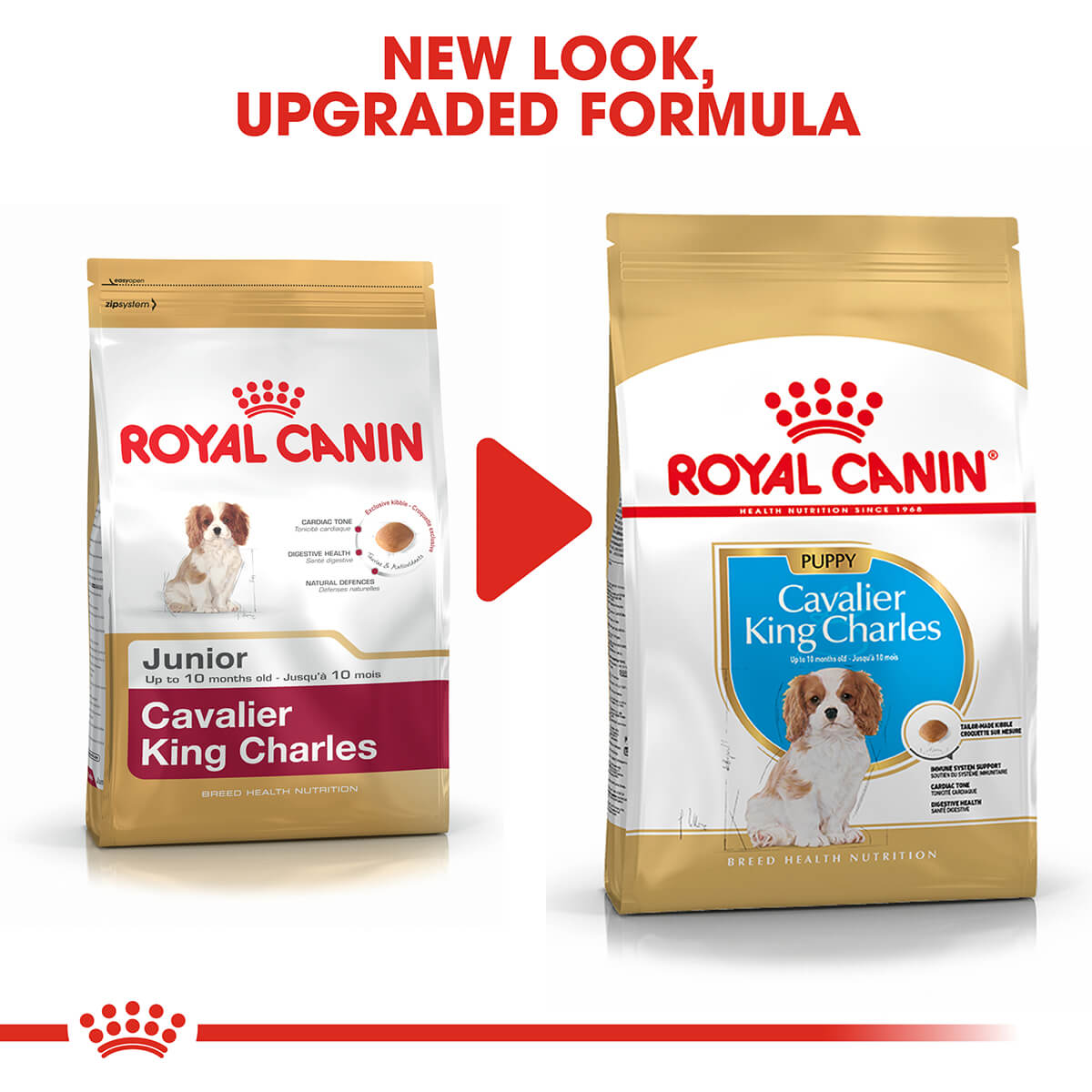 Royal Canin Cavalier King Charles Puppy Dry Dog Food 1.5kg (100000005445) [default_color]