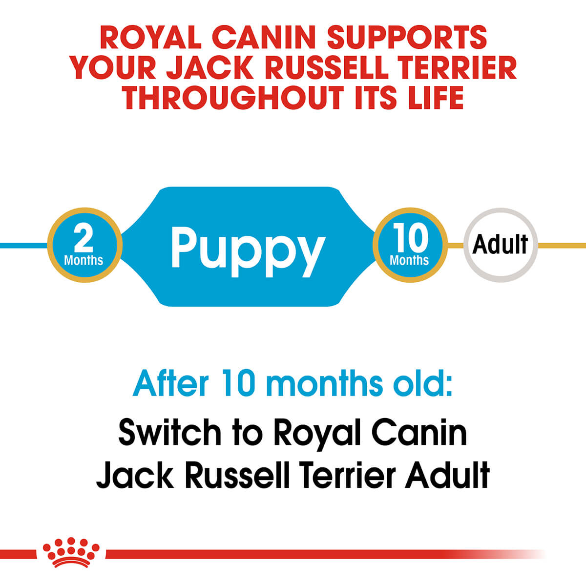 Royal Canin Jack Russell Puppy Dry Dog Food 1.5kg (100000005449) [default_color]