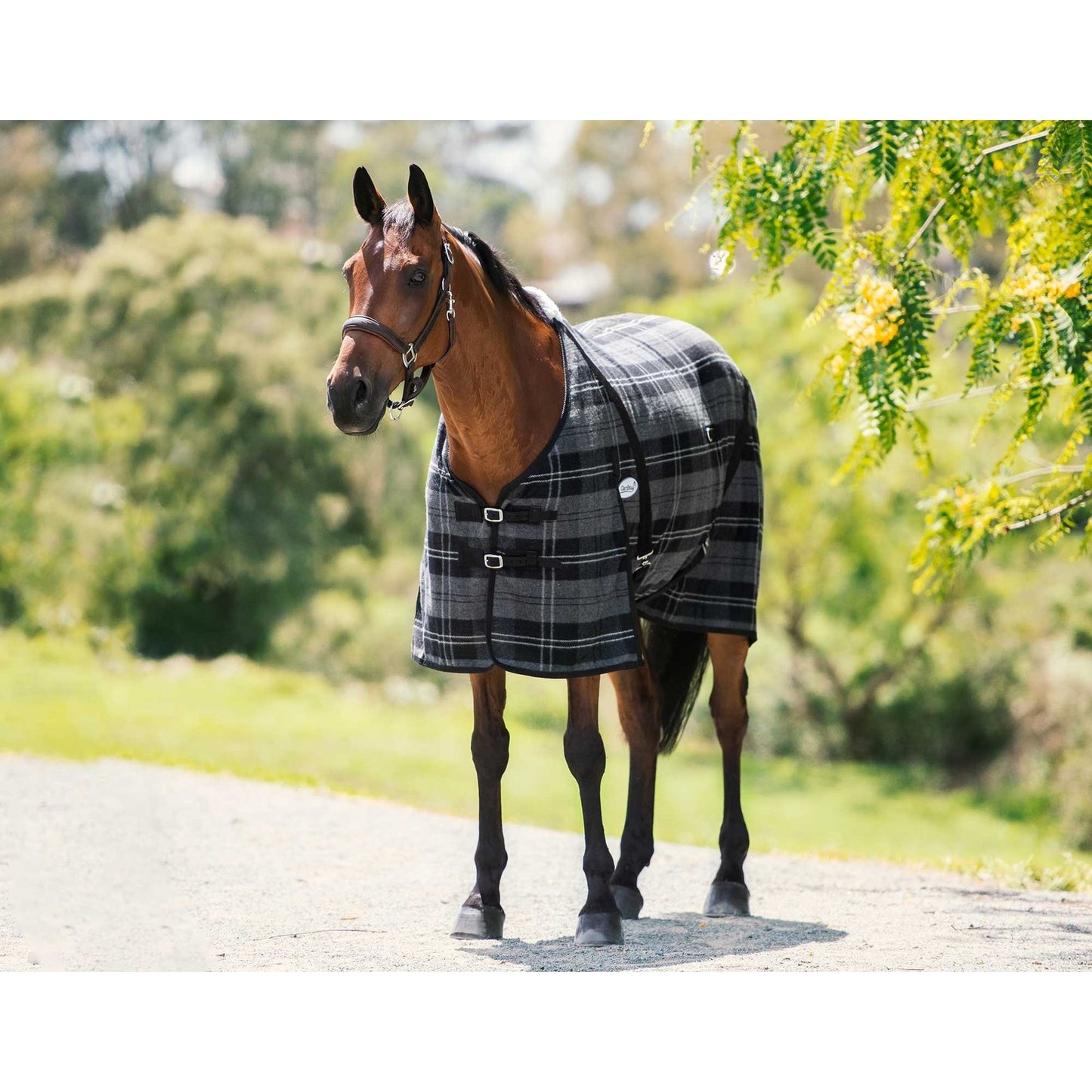 Caribu Wool Horse Rug (100000005484) [Grey Tartan]