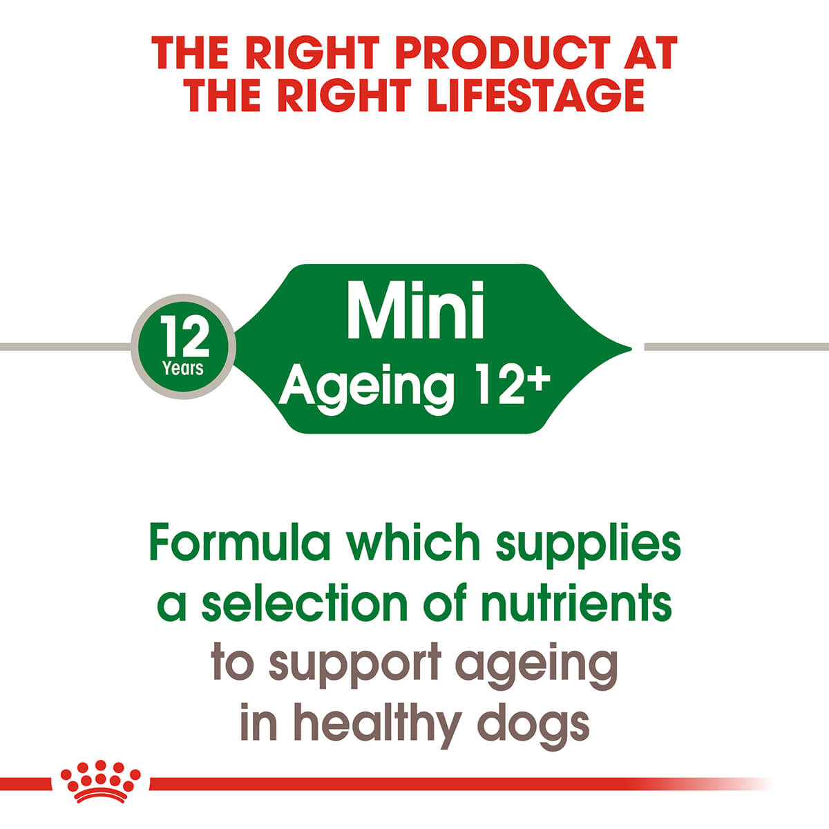 Royal Canin Mini Ageing Senior Wet Dog Food 85g (100000007818) [default_color]