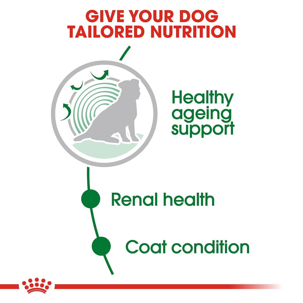 Royal Canin Mini Ageing Senior Wet Dog Food 85g (100000007818) [default_color]