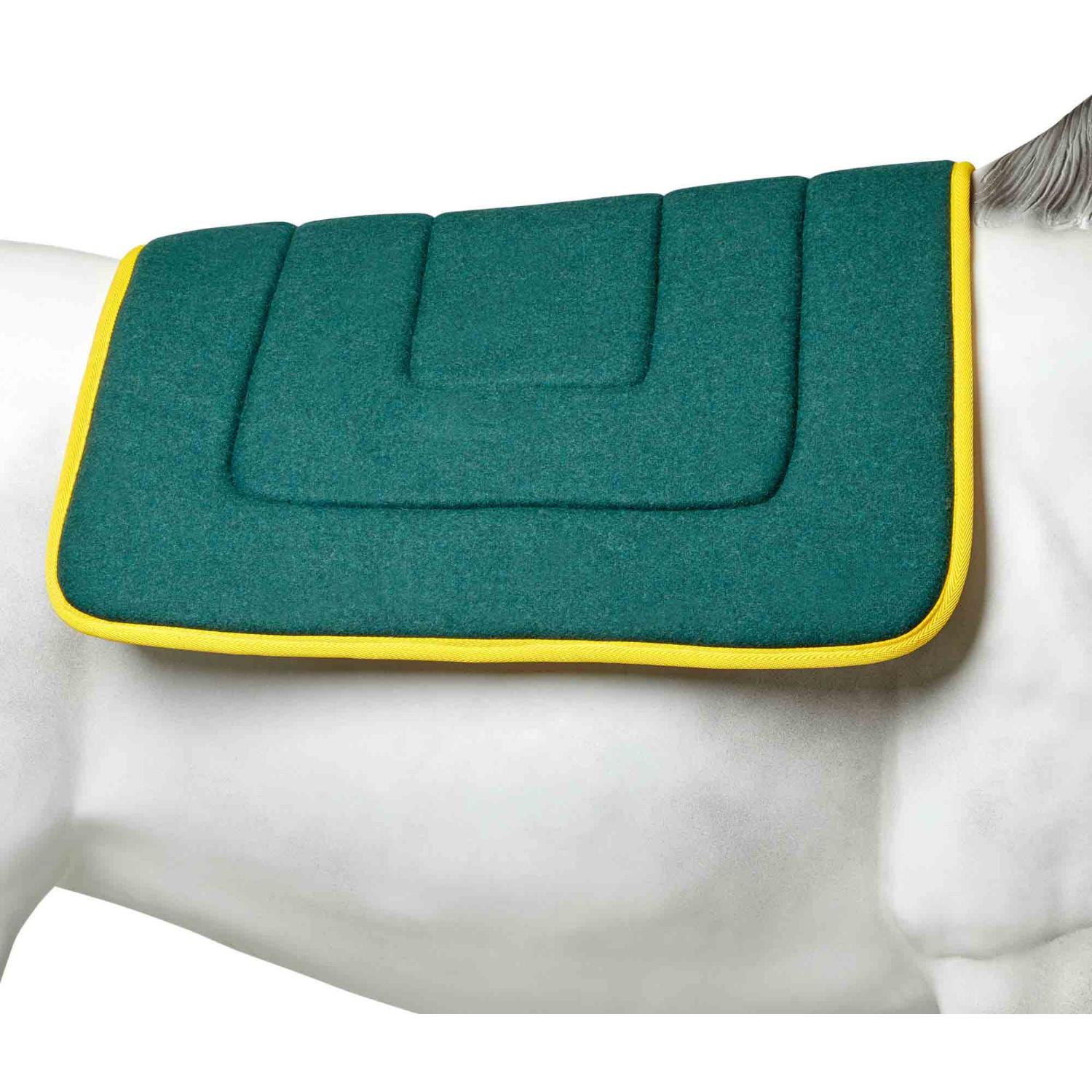 Ascot Wool Saddlecloth (100000010583) [Green]