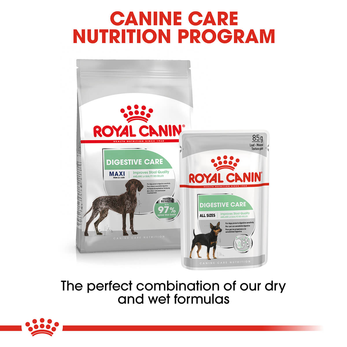 Royal Canin Maxi Digestive Care Adult Dry Dog Food (100000013304) [default_color]