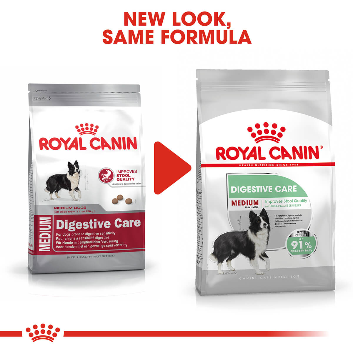 Royal Canin Medium Digestive Care Adult Dry Dog Food (100000013306) [default_color]