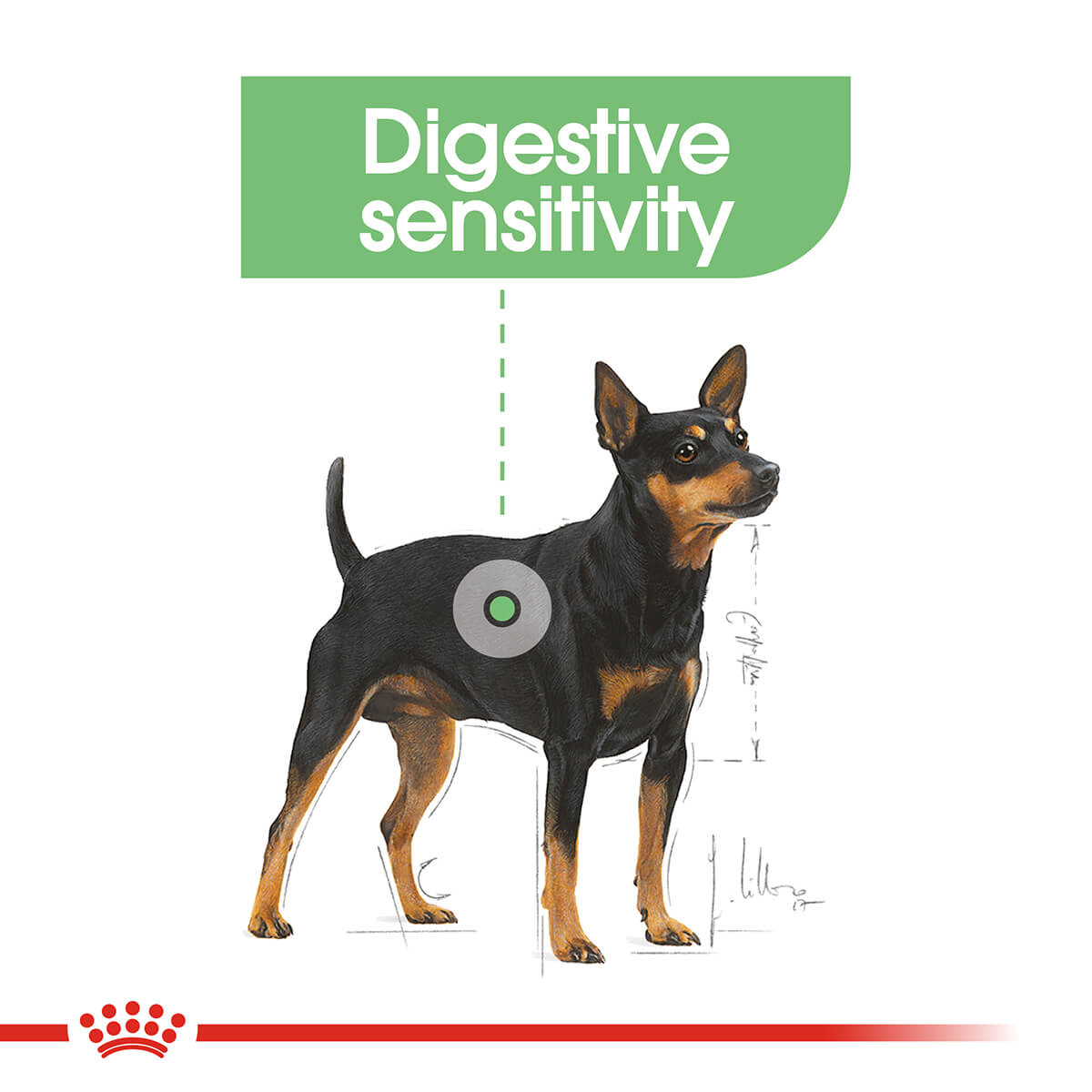Royal Canin Mini Digestive Care Adult Dry Dog Food (100000013309) [default_color]