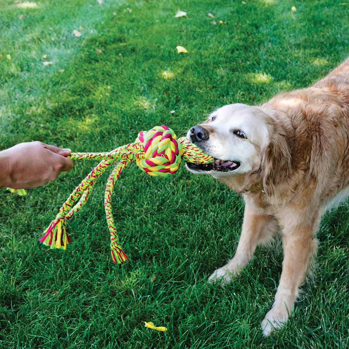 KONG Wubba Weaves with Rope Dog Toy X Large (100000014166) [default_color]