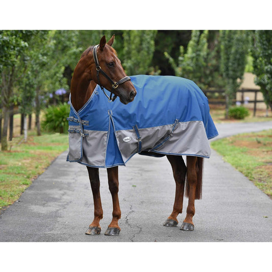 Caribu Alpine 200g Winter Horse Rug (100000014399) [Sky Blue]