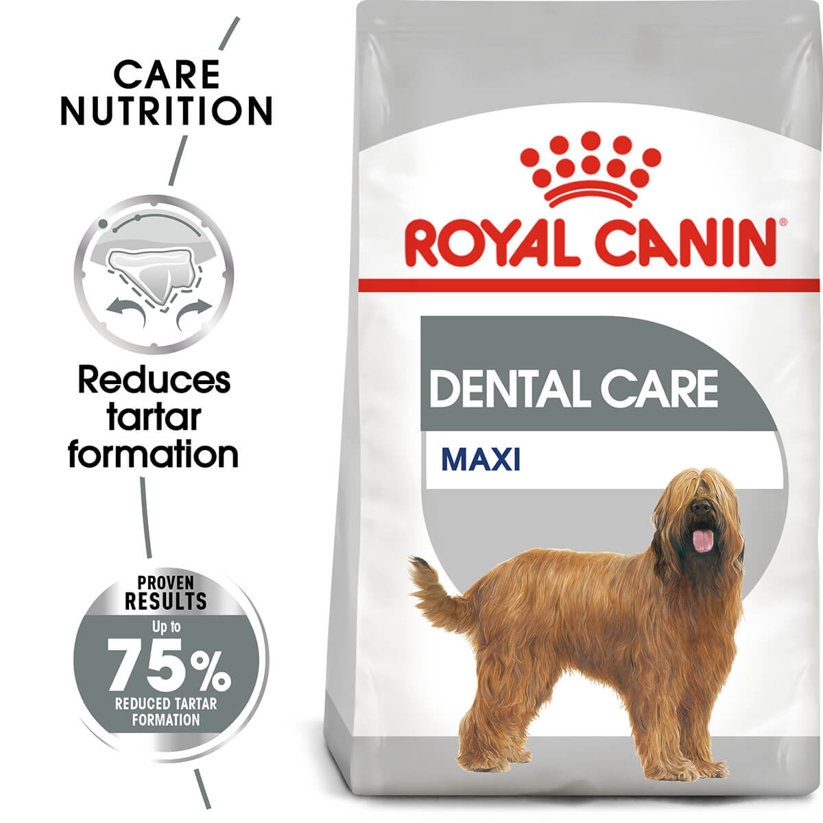 Royal Canin Maxi Dental Care Adult Dry Dog Food 9kg (100000018992) [default_color]