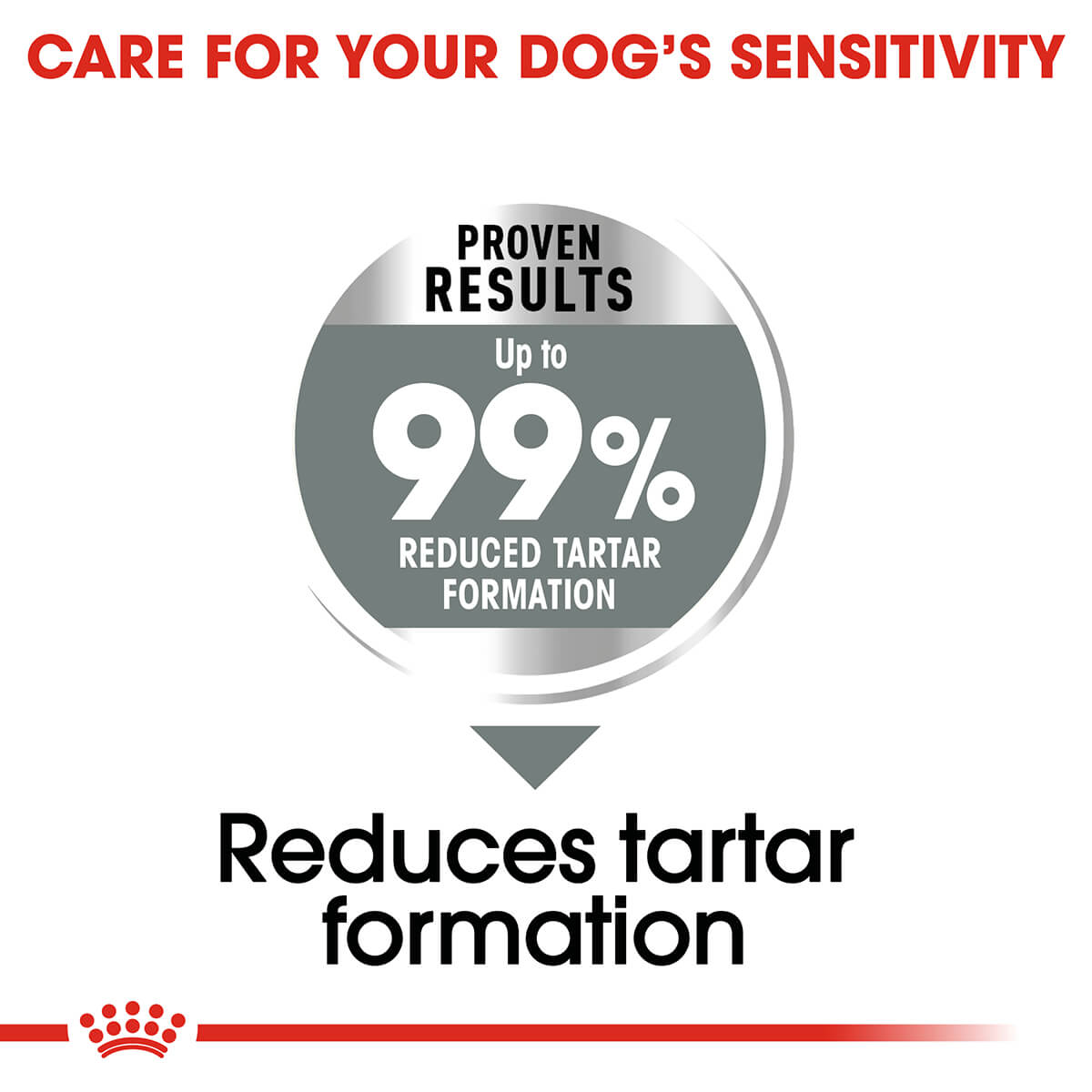 Royal Canin Medium Dental Care Adult Dry Dog Food (100000018993) [default_color]