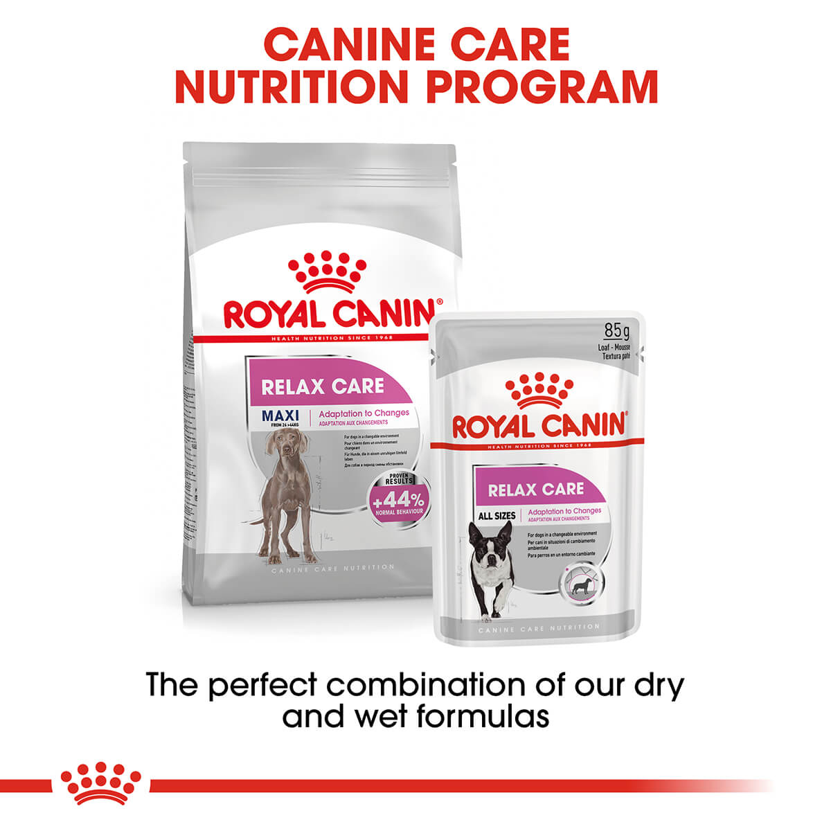 Royal Canin Maxi Relax Care Adult Dry Dog Food (100000019000) [default_color]