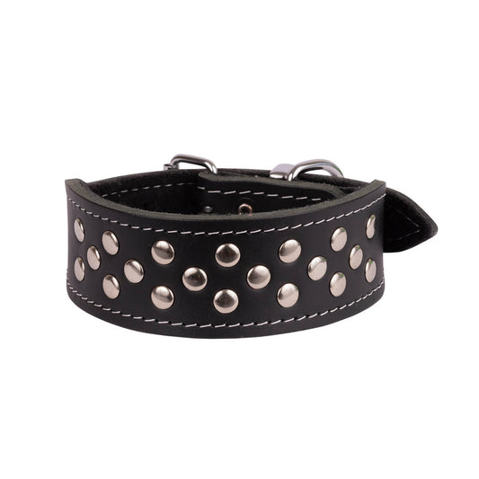 Beau Pets Dog Collar Whippet Leather Stud (100000021766) [Black]