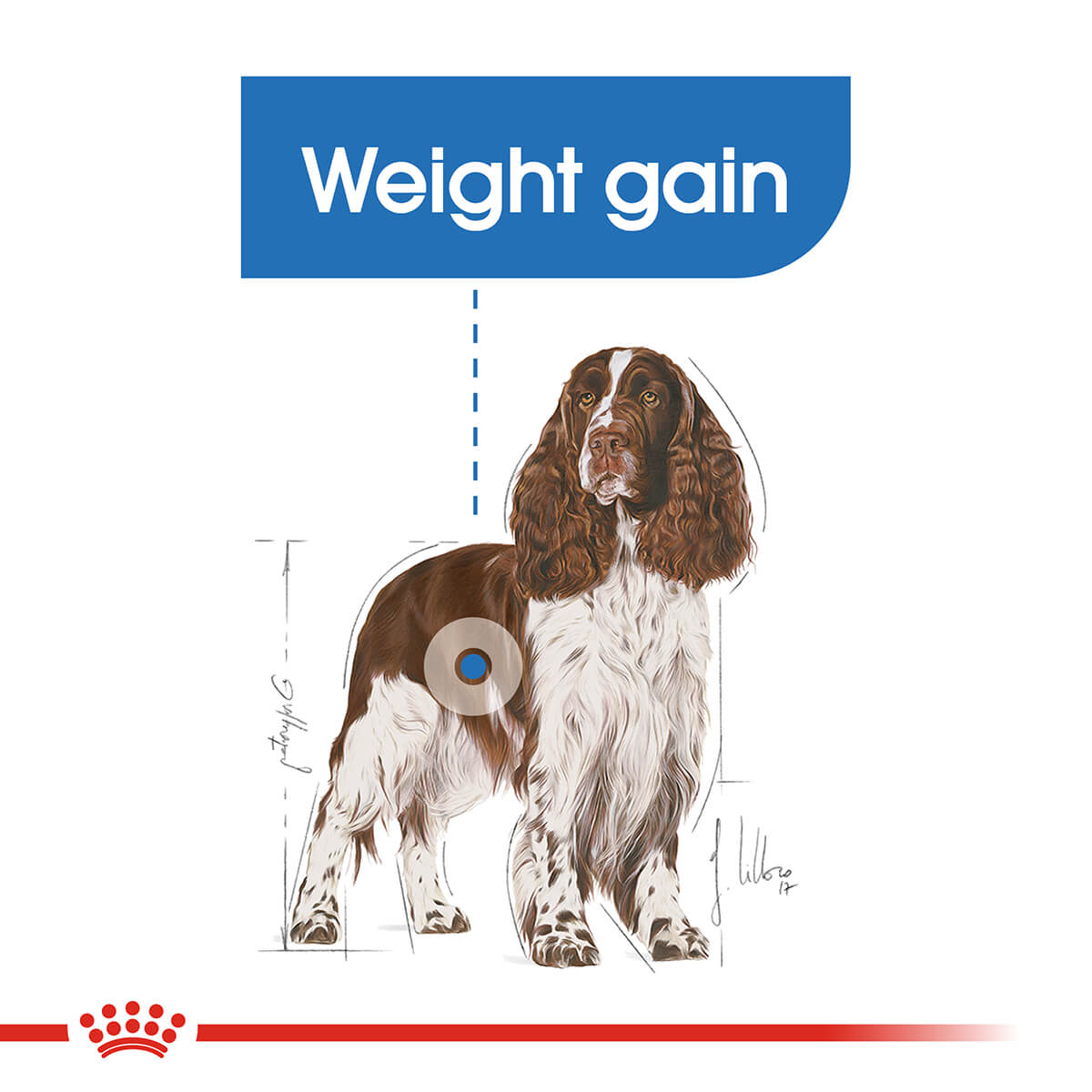 Royal Canin Medium Light Weight Care Adult Dry Dog Food (100000022575) [default_color]