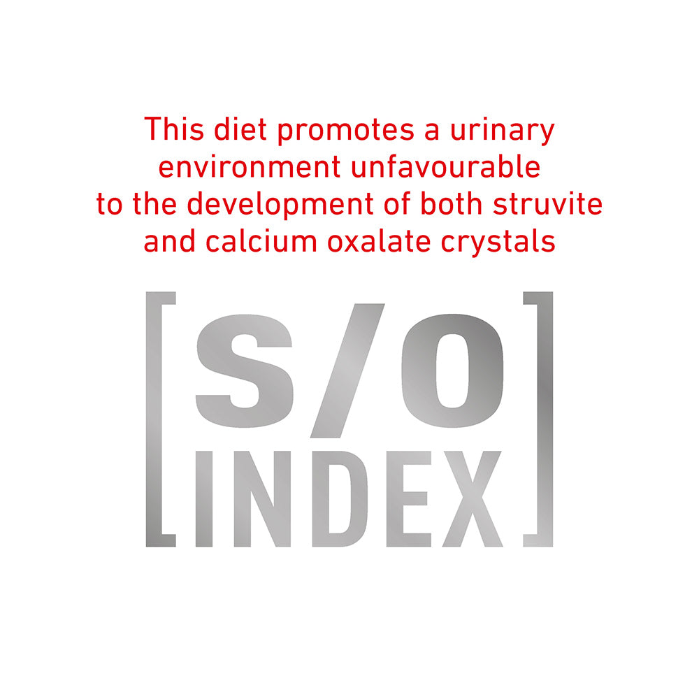 ROYAL CANIN VETERINARY DIET Diabetic Adult Dry Dog Food 410g (100000023587) [default_color]